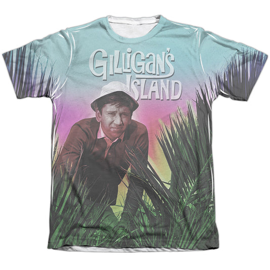 GILLIGANS ISLAND/LITTLE BUDDY