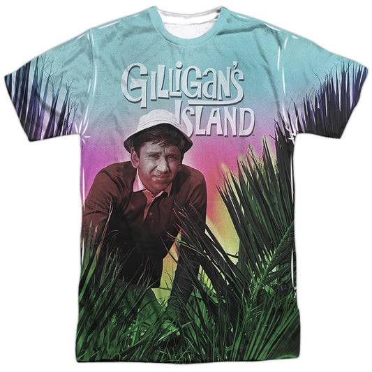 GILLIGANS ISLAND/LITTLE BUDDY