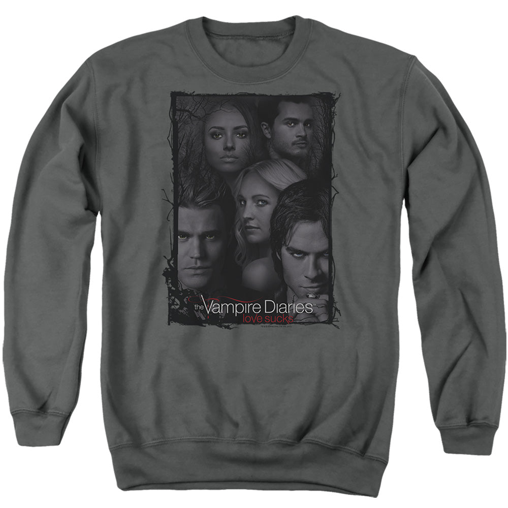 VAMPIRE DIARIES/SO HERE WE ARE