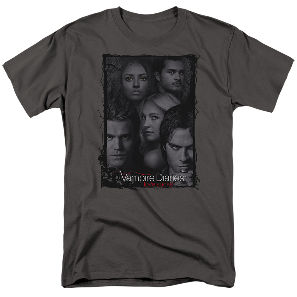 VAMPIRE DIARIES/SO HERE WE ARE