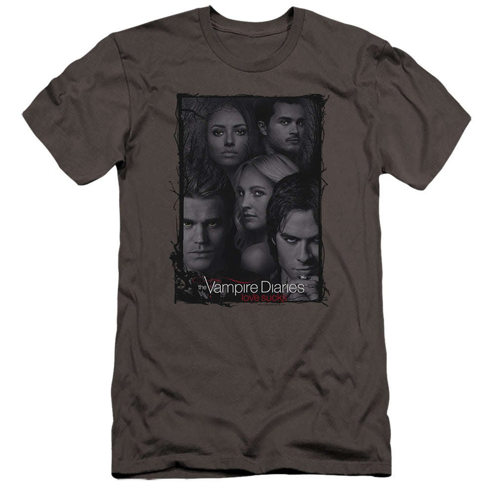 VAMPIRE DIARIES/SO HERE WE ARE