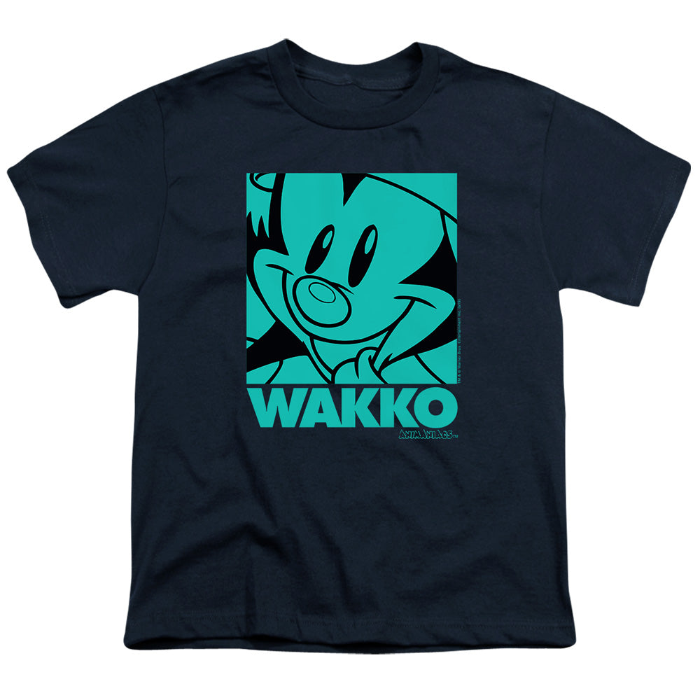 ANIMANIACS/POP WAKKO