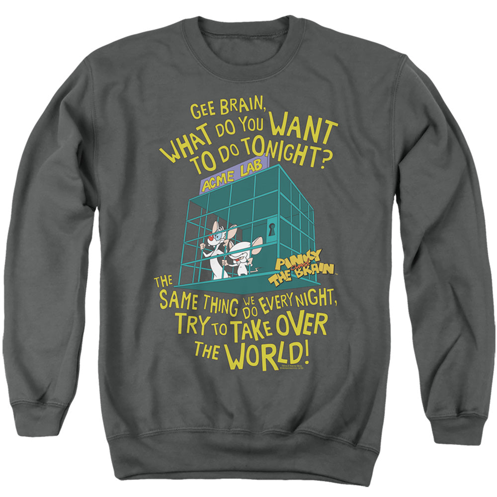 PINKY AND THE BRAIN/THE WORLD