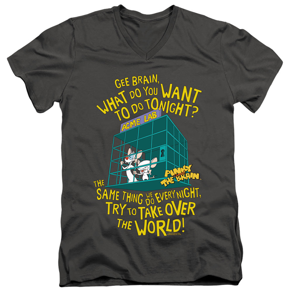 PINKY AND THE BRAIN/THE WORLD
