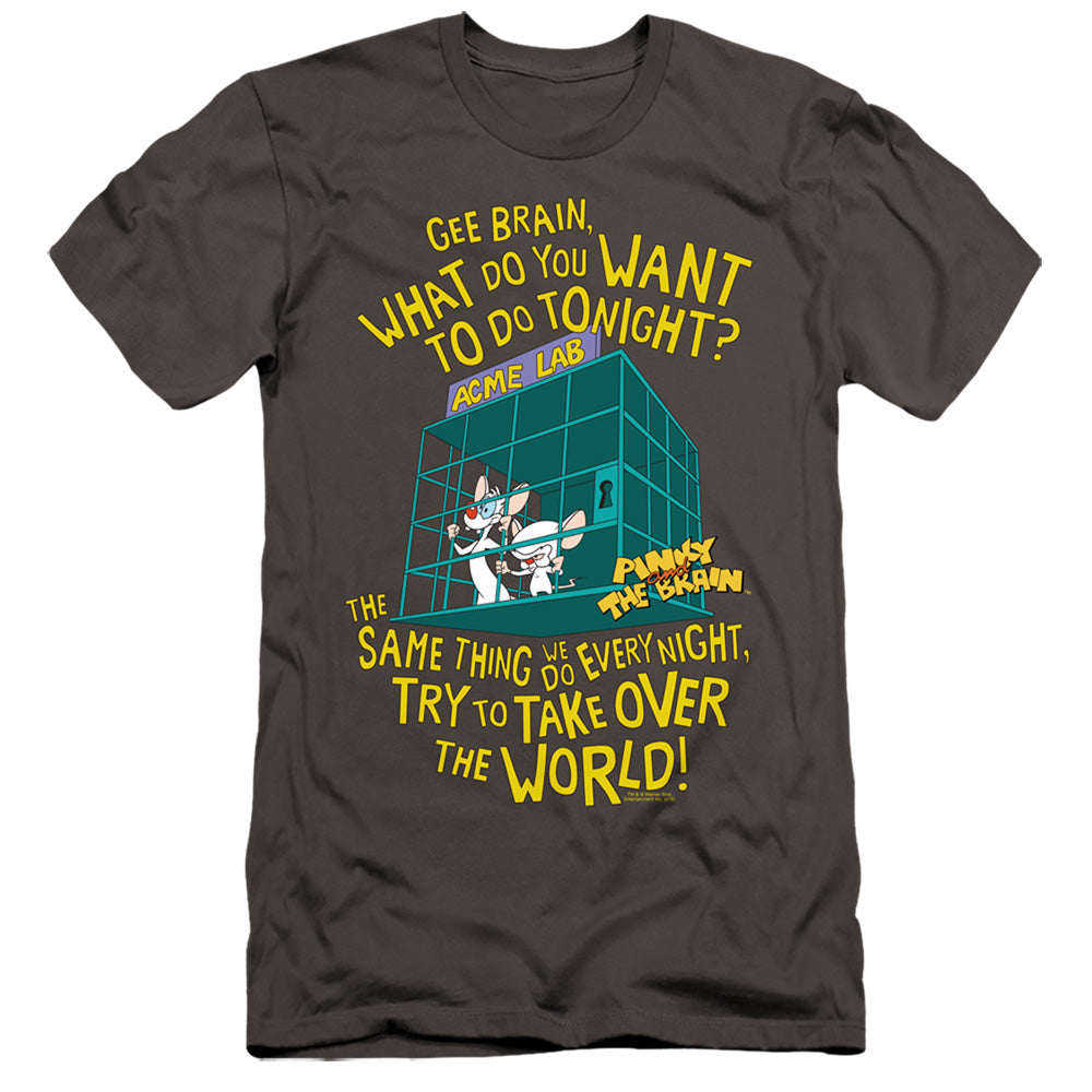 PINKY AND THE BRAIN/THE WORLD