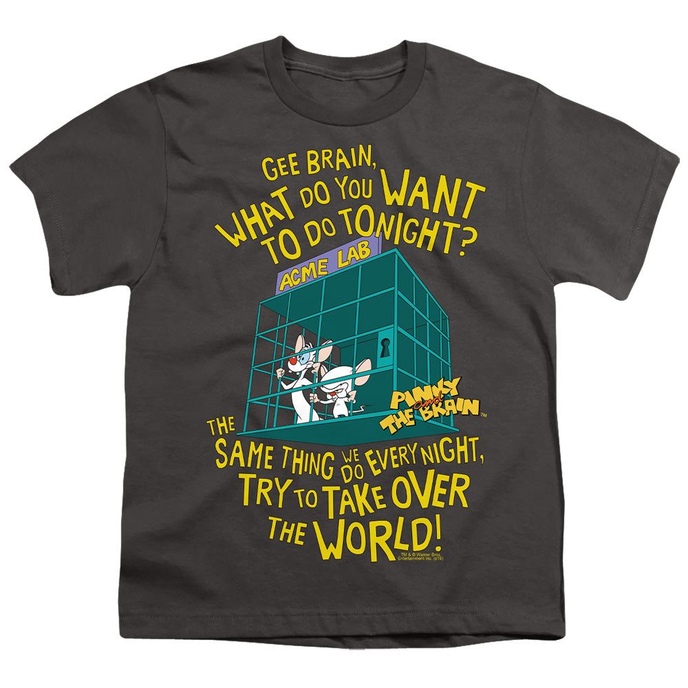 PINKY AND THE BRAIN/THE WORLD