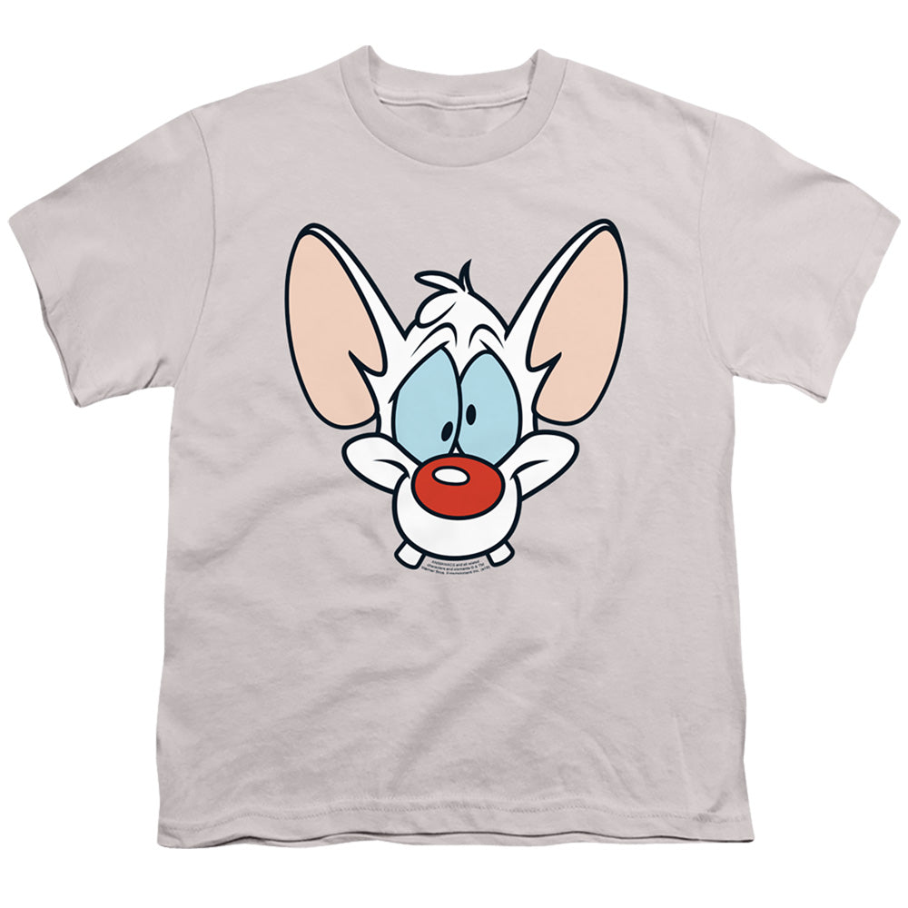 PINKY AND THE BRAIN/PINKY