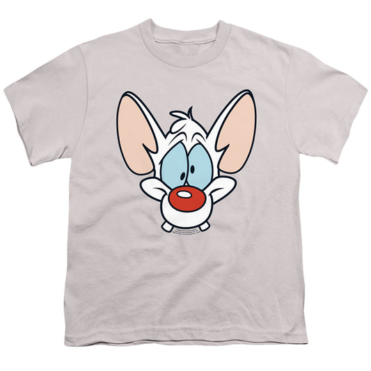 PINKY AND THE BRAIN/PINKY