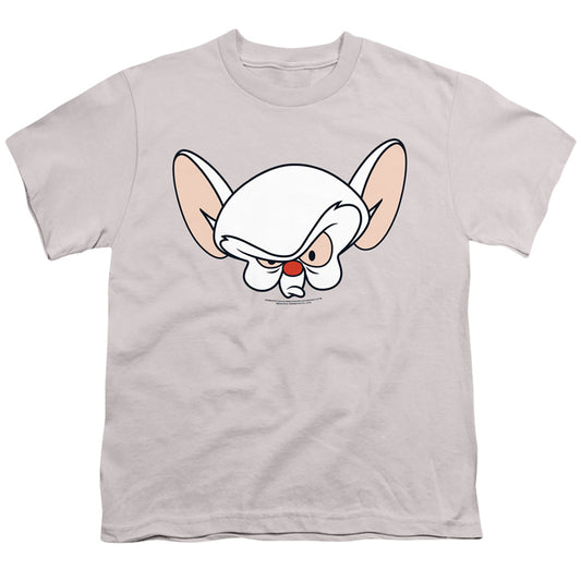 PINKY AND THE BRAIN/BRAIN