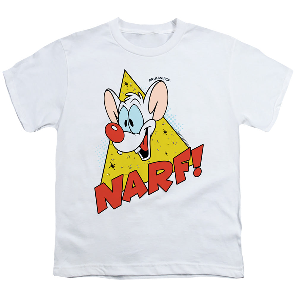 PINKY AND THE BRAIN/NARF