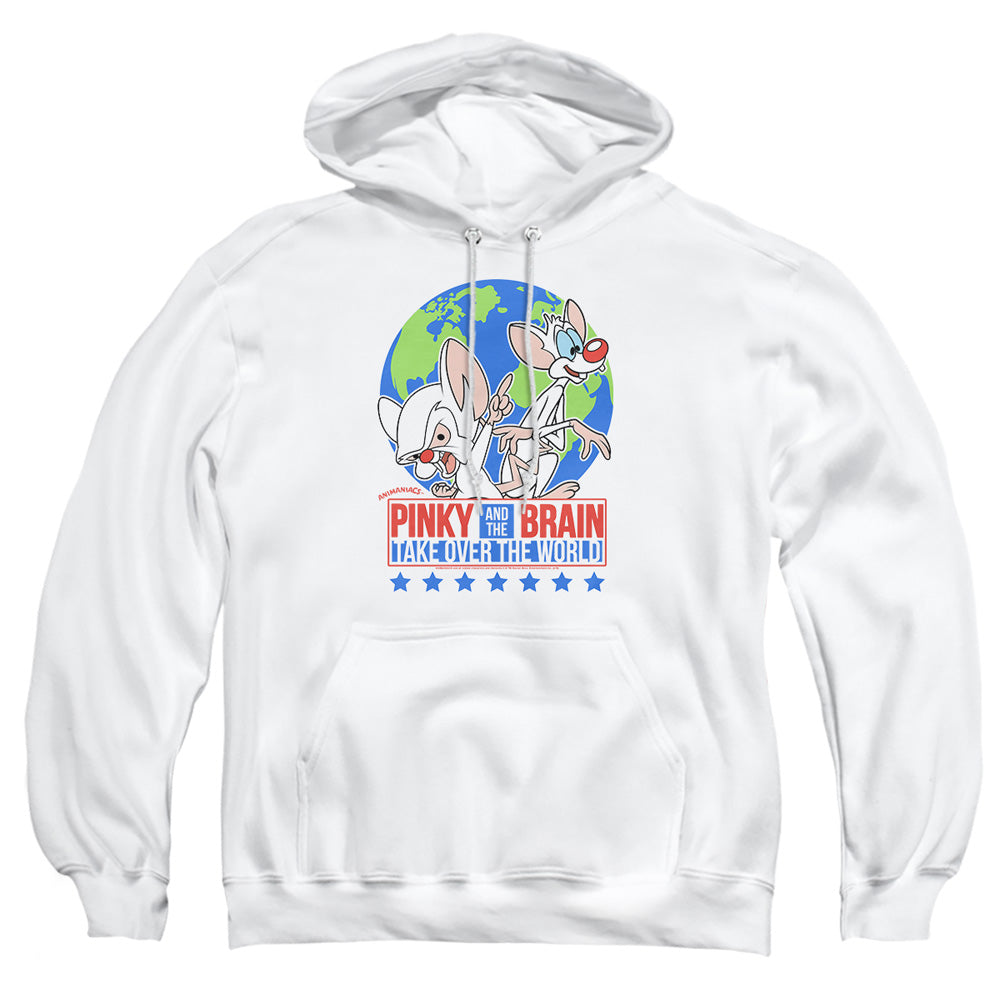 PINKY AND THE BRAIN/CAMPAIGN