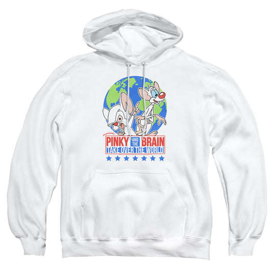 PINKY AND THE BRAIN/CAMPAIGN