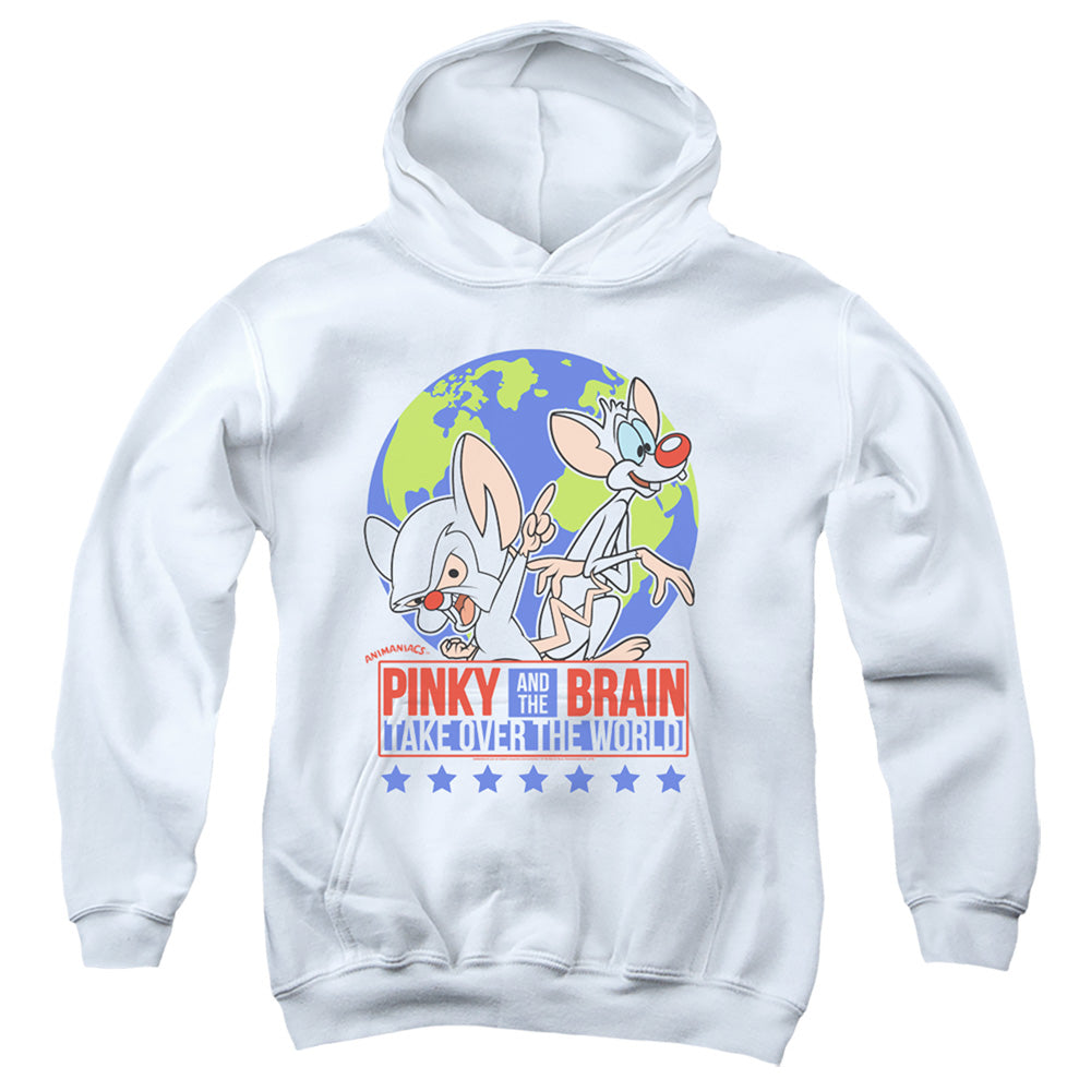 PINKY AND THE BRAIN/CAMPAIGN