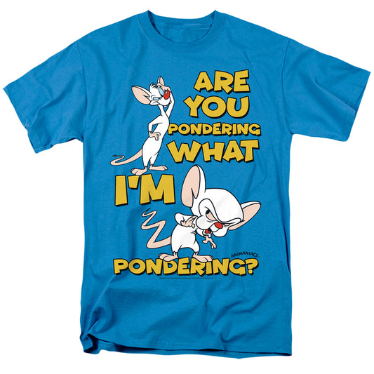 PINKY AND THE BRAIN/PONDERING