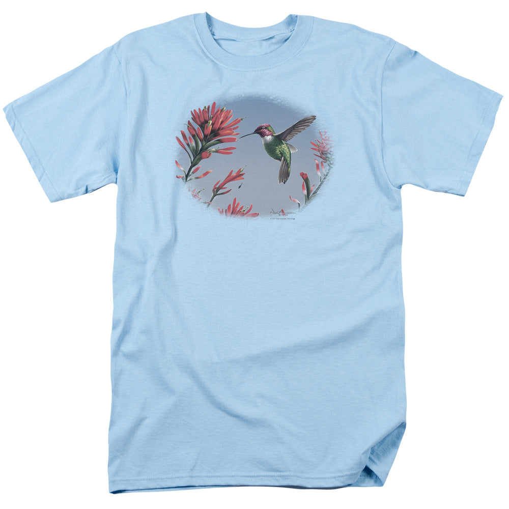 WILDLIFE/ANNAS HUMMINGBIRD