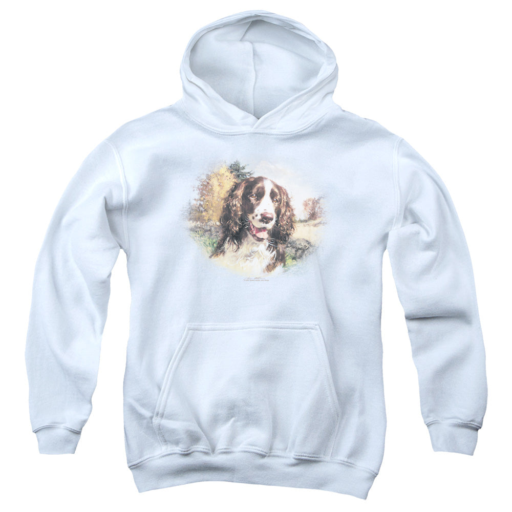 WILDLIFE/SPRINGER SPANIEL HEAD