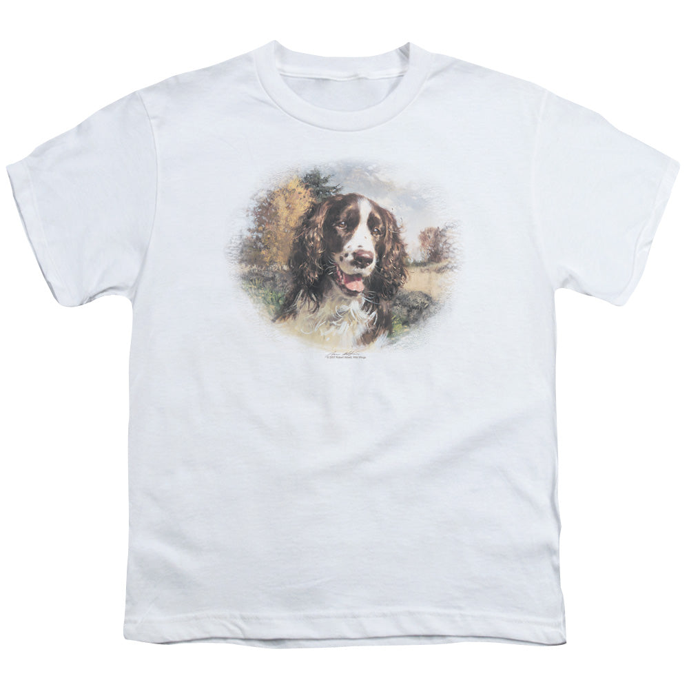 WILDLIFE/SPRINGER SPANIEL HEAD