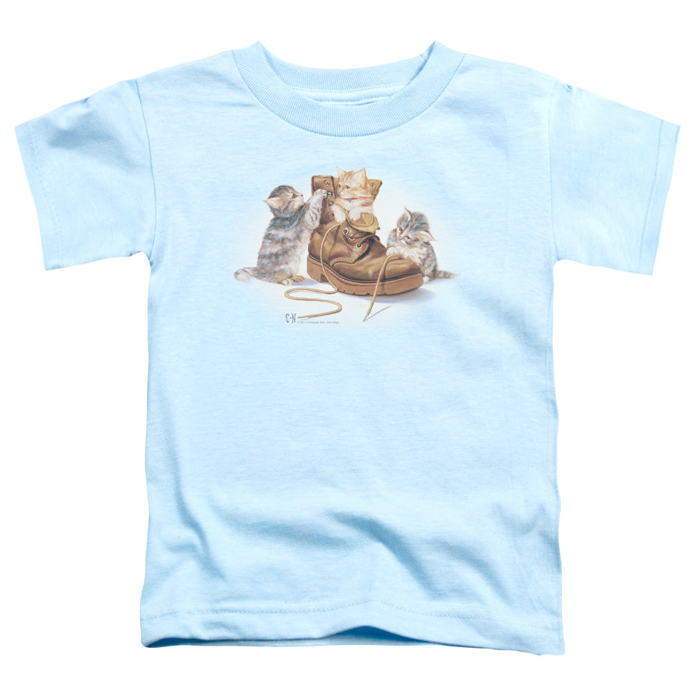 WILDLIFE/PLAYFUL KITTENS