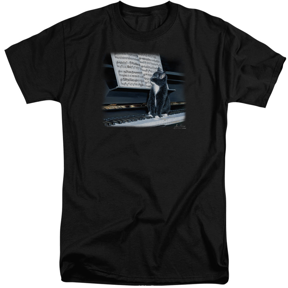 WILDLIFE/KITTEN ON THE KEYS