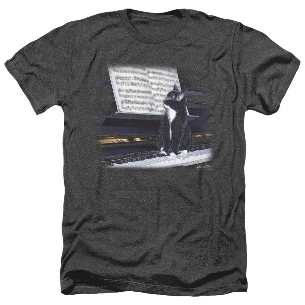 WILDLIFE/KITTEN ON THE KEYS