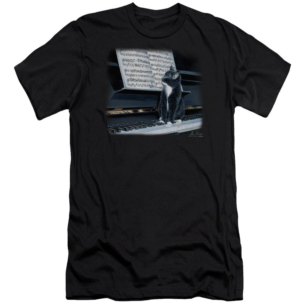 WILDLIFE/KITTEN ON THE KEYS