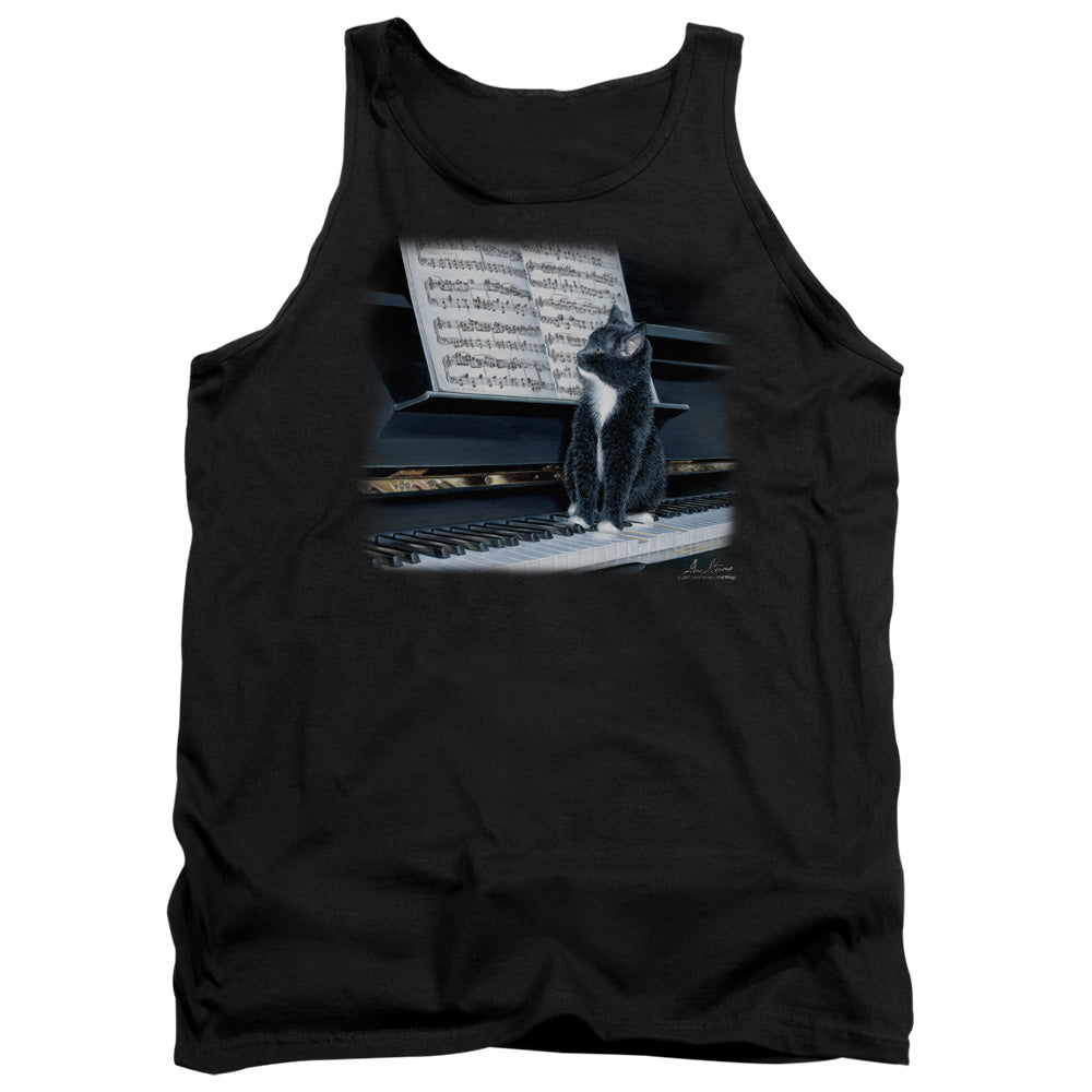 WILDLIFE/KITTEN ON THE KEYS