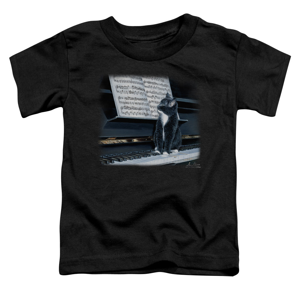 WILDLIFE/KITTEN ON THE KEYS