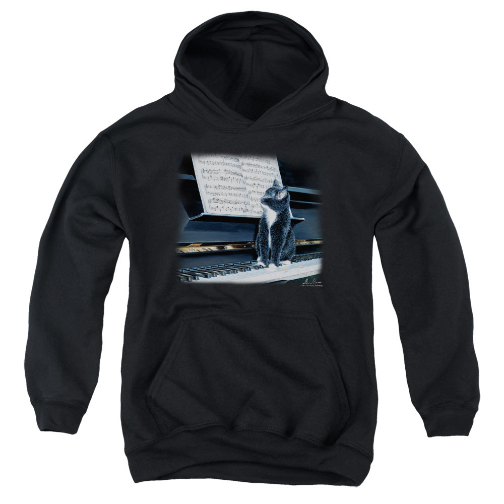 WILDLIFE/KITTEN ON THE KEYS