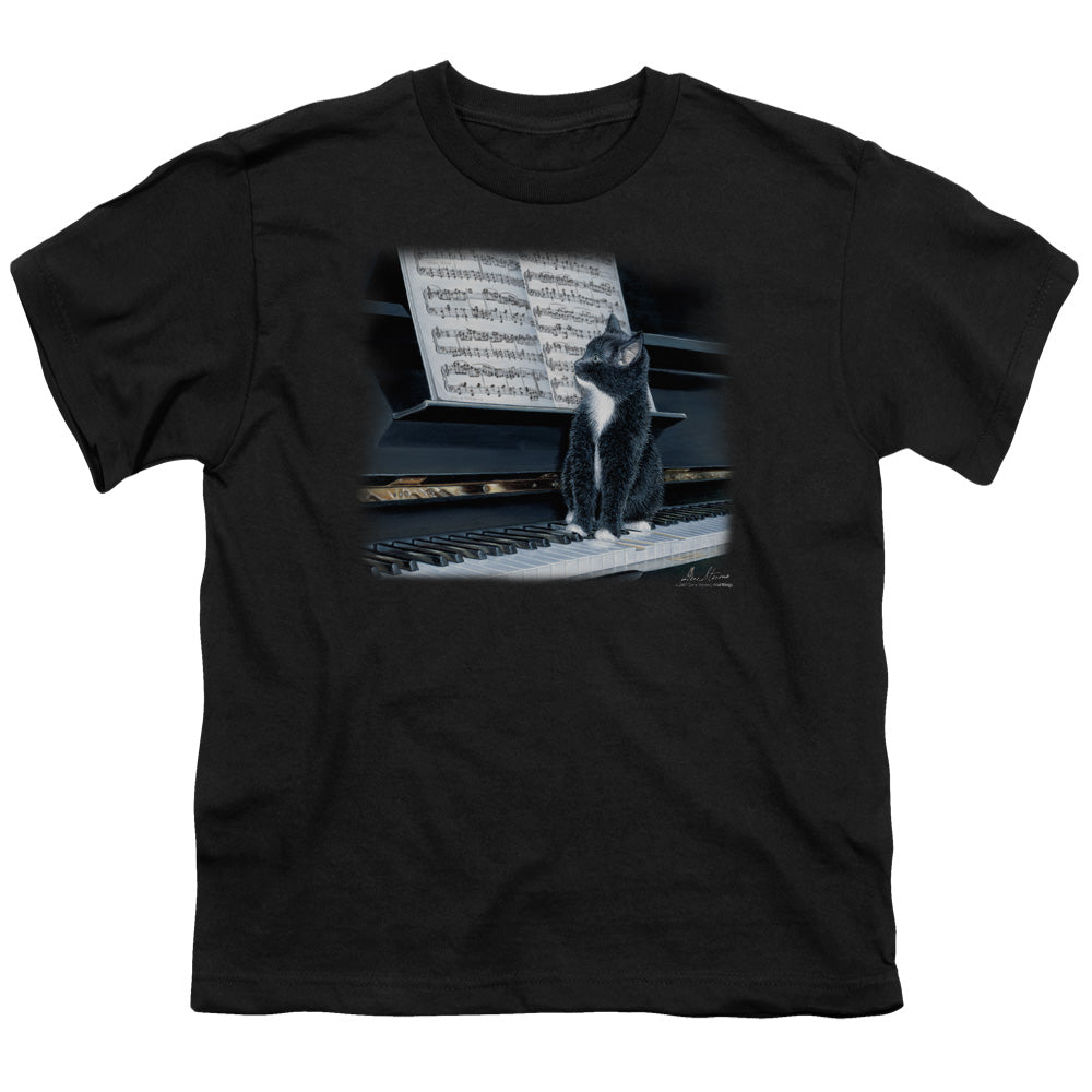 WILDLIFE/KITTEN ON THE KEYS