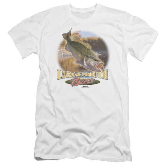 WILDLIFE/CARTWHEELING