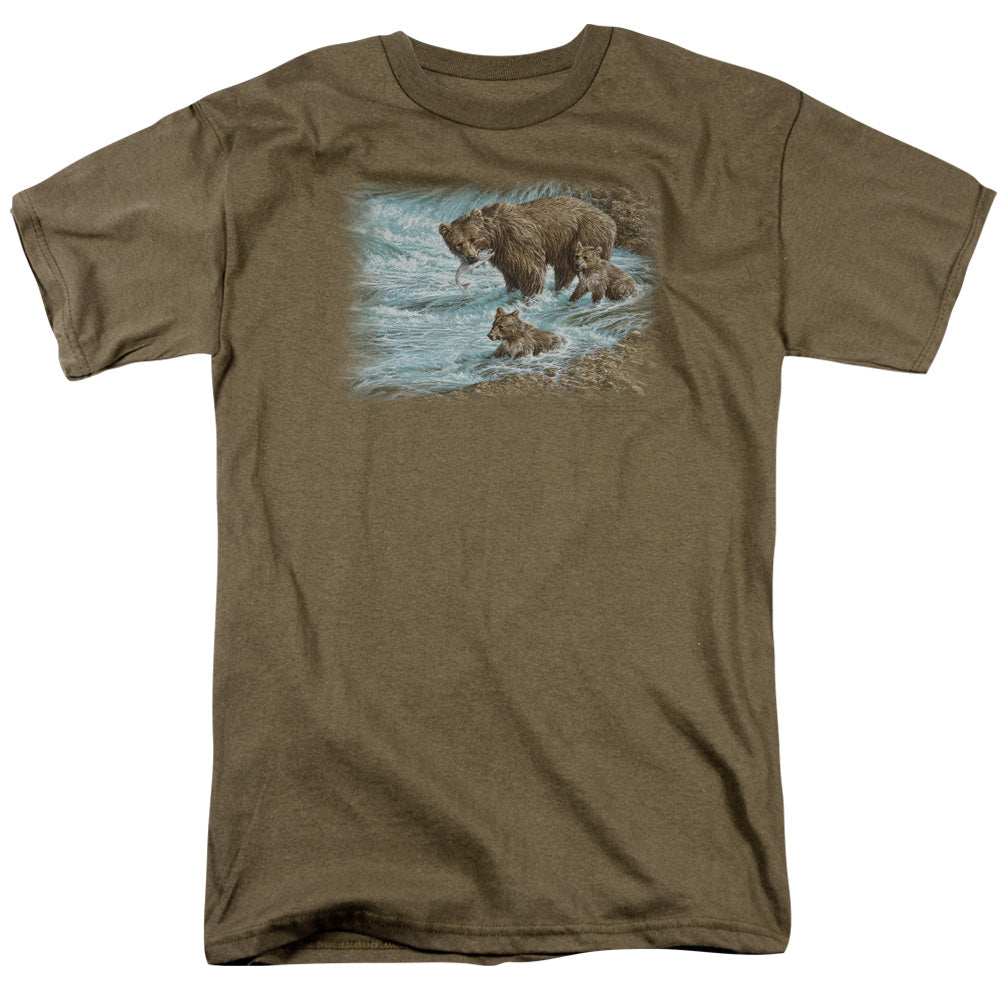 WILDLIFE/ALASKAN BROWN BEAR