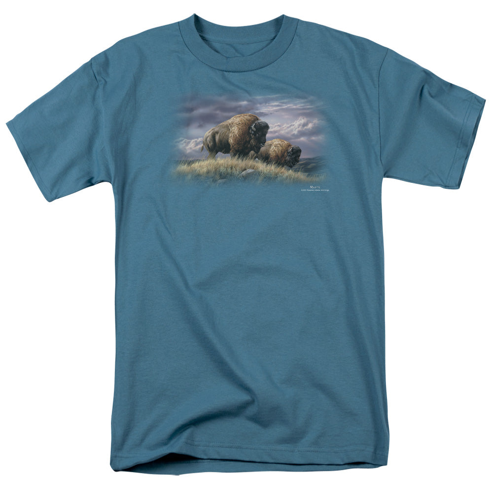 WILDLIFE/NOMADS OF THE PLAINS