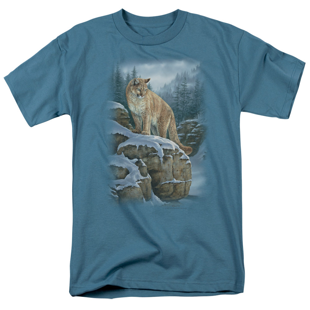 WILDLIFE/MISTY CANYON COUGAR