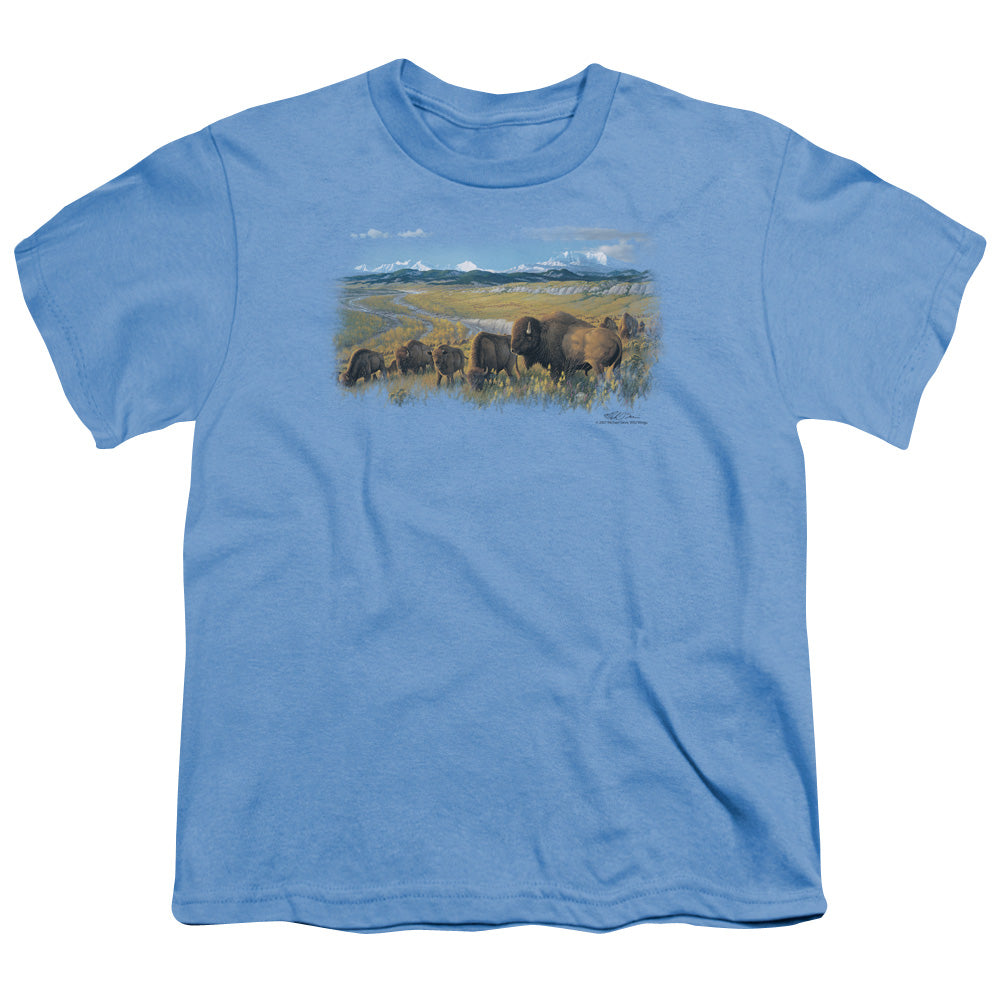 WILDLIFE/THE PASSING HERD