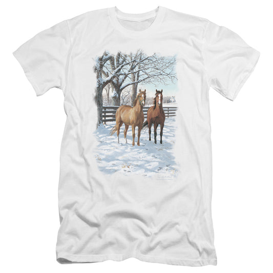 WILDLIFE/COFFEE AND CHOCOLATE