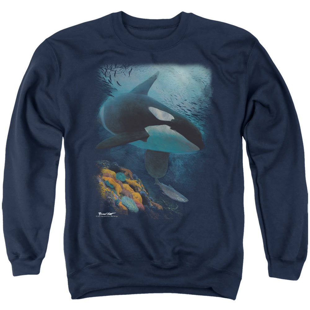 WILDLIFE/SALMON HUNTER ORCA