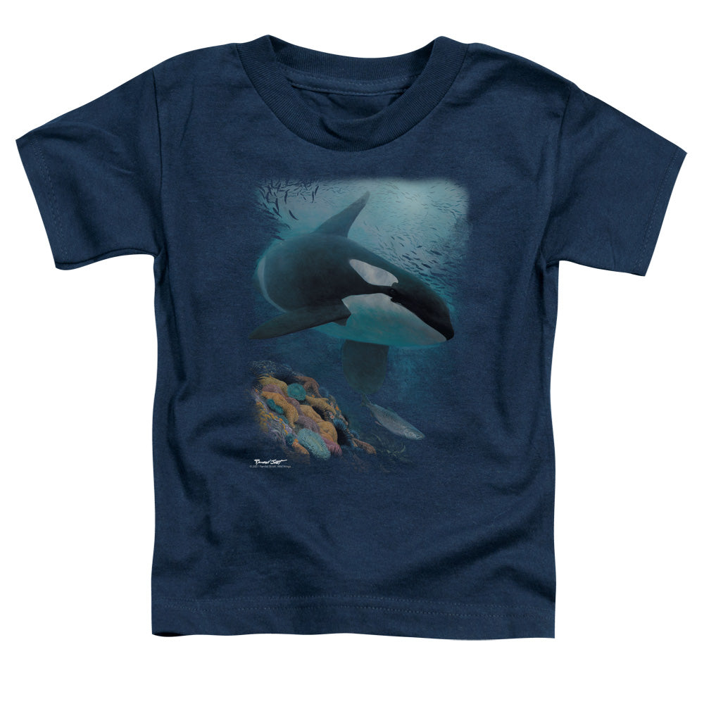 WILDLIFE/SALMON HUNTER ORCA
