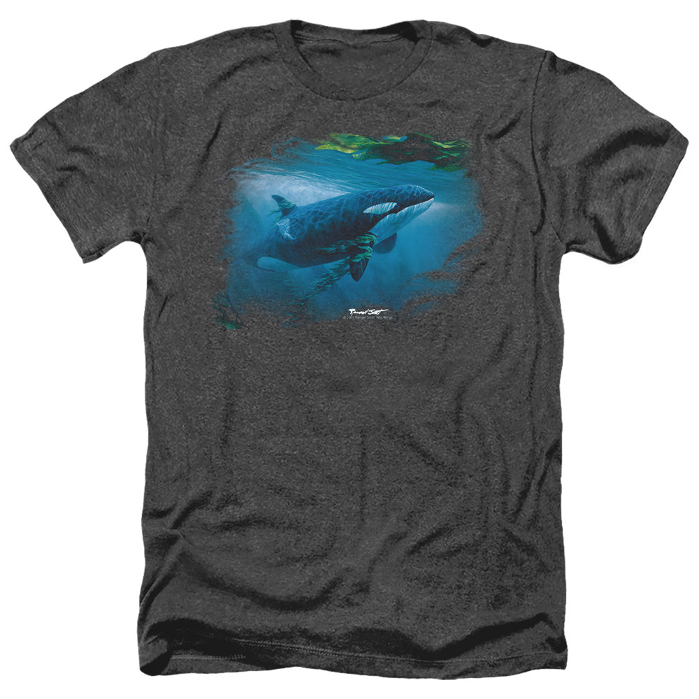 WILDLIFE/PURSUIT THRU THE KELP ORCA