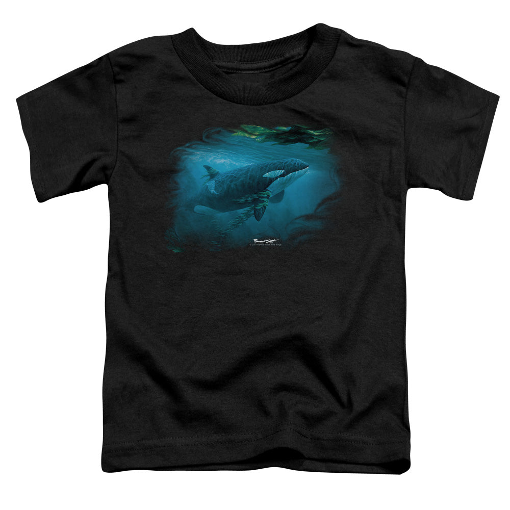 WILDLIFE/PURSUIT THRU THE KELP ORCA