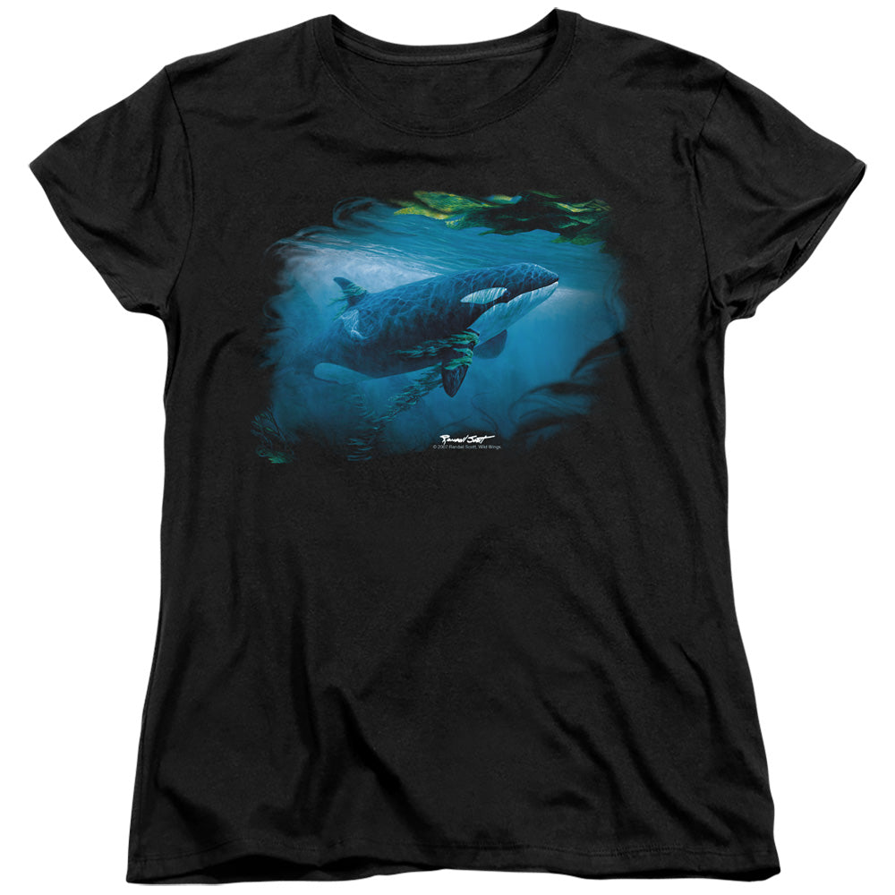 WILDLIFE/PURSUIT THRU THE KELP ORCA