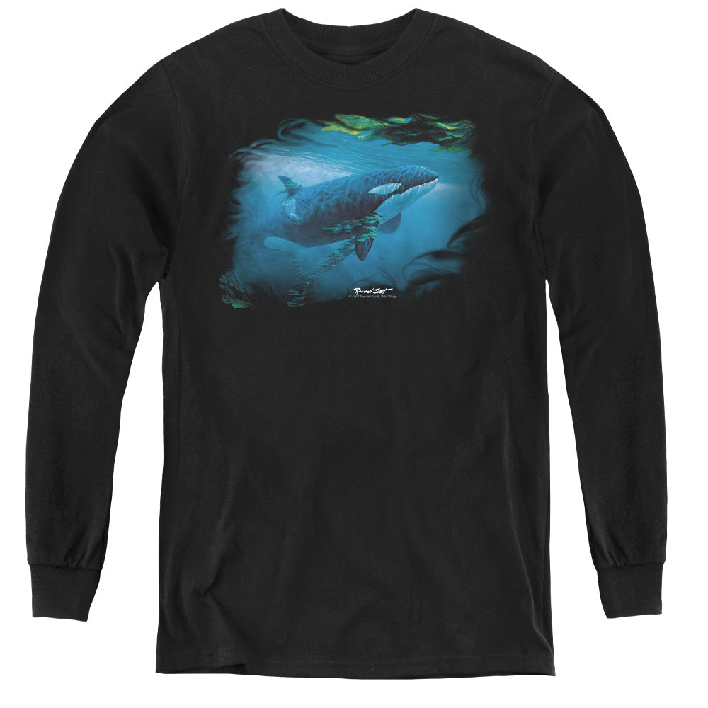 WILDLIFE/PURSUIT THRU THE KELP ORCA