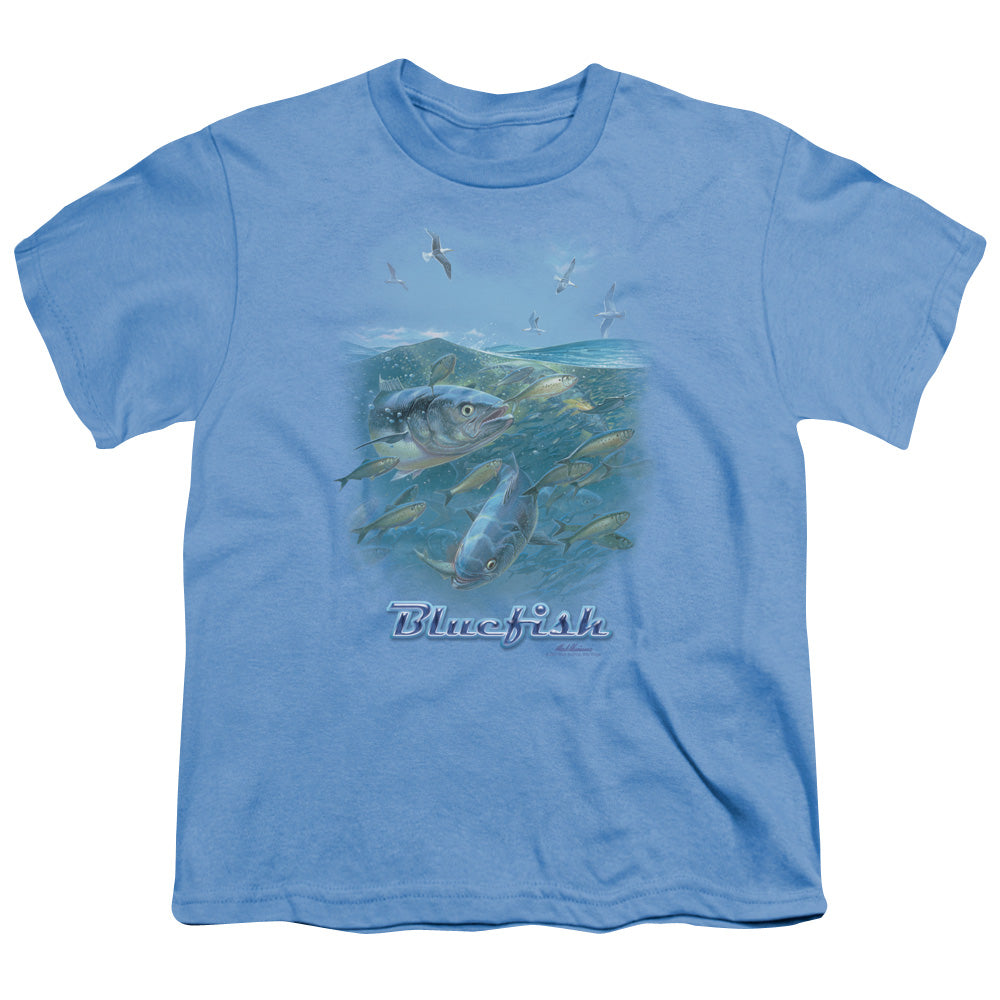 WILDLIFE/BLUE MAYHEM