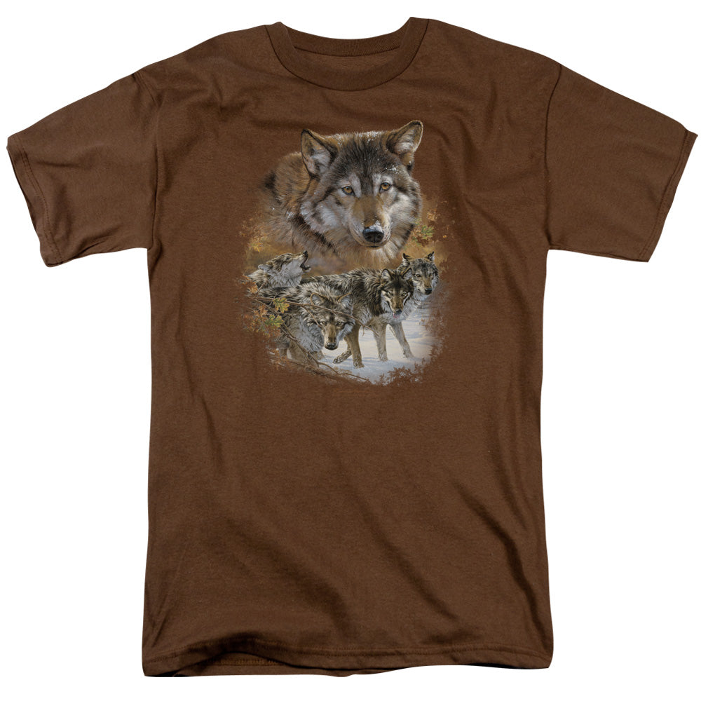 WILDLIFE/WOLF PACK
