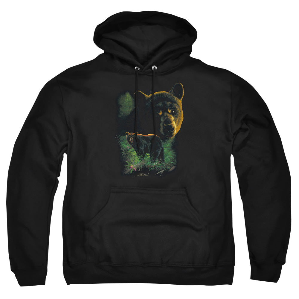 WILDLIFE/BLACK BEARS