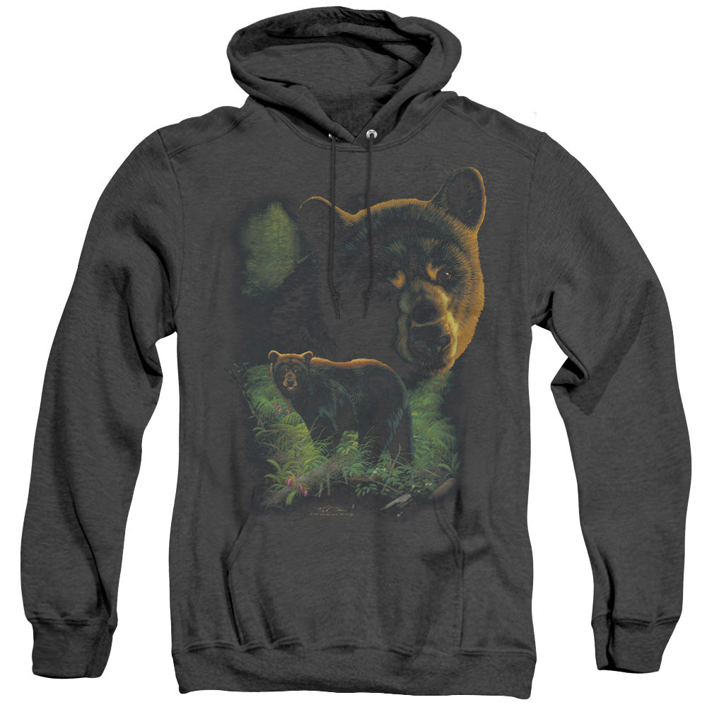 WILDLIFE/BLACK BEARS