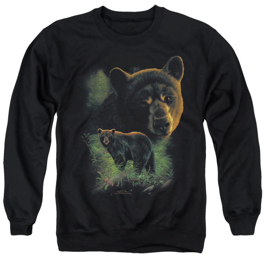 WILDLIFE/BLACK BEARS