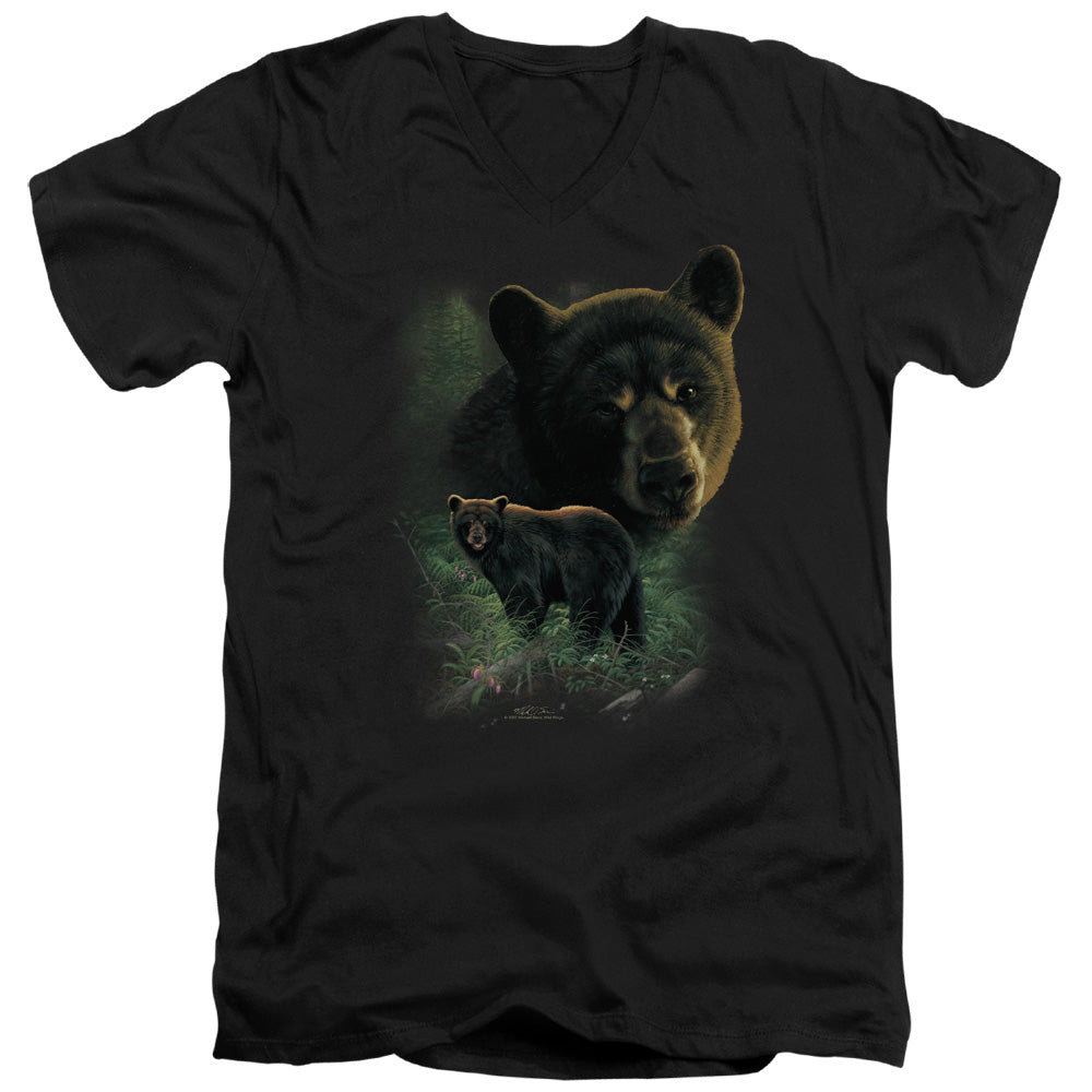 WILDLIFE/BLACK BEARS