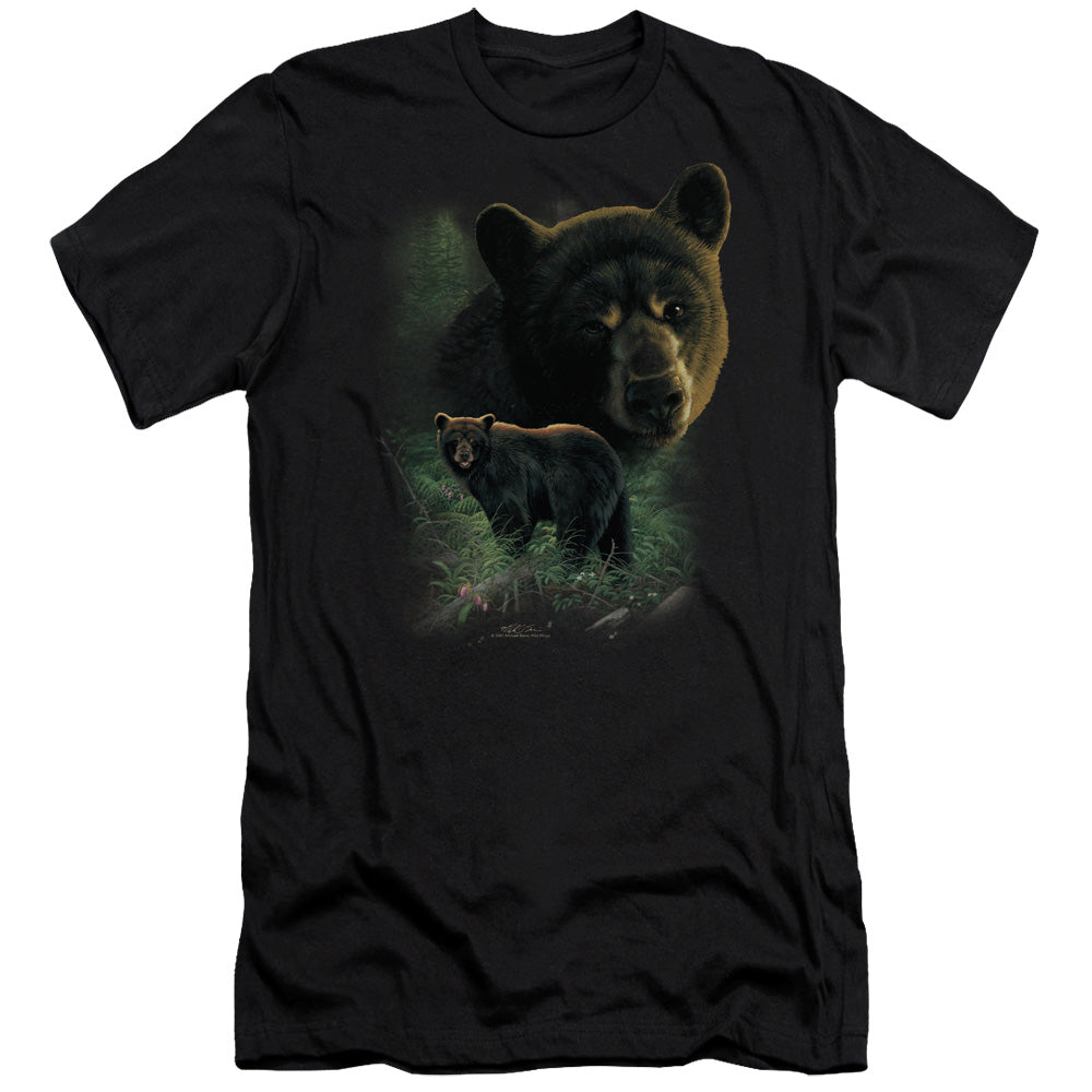 WILDLIFE/BLACK BEARS