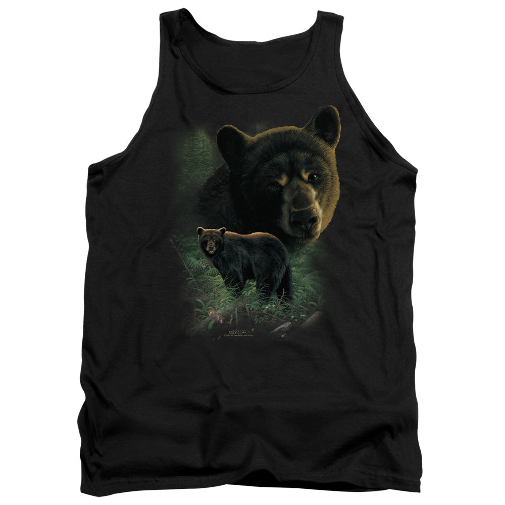 WILDLIFE/BLACK BEARS