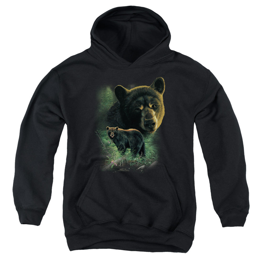 WILDLIFE/BLACK BEARS